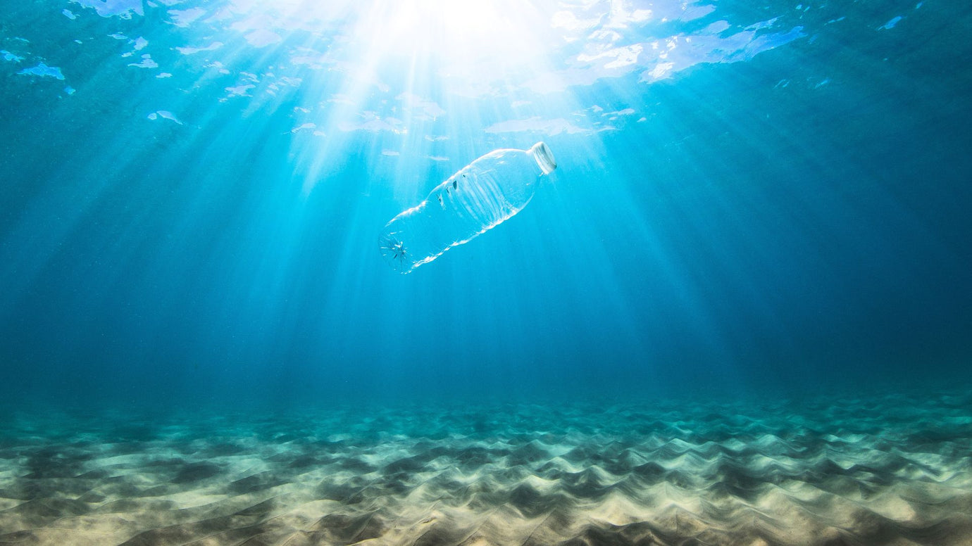 Mission: Keine Plastikflaschen mehr an Bord! #WorldOceansDay