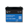 Ultimatron Smart BMS LiFePO4 Lithium-Batterie
